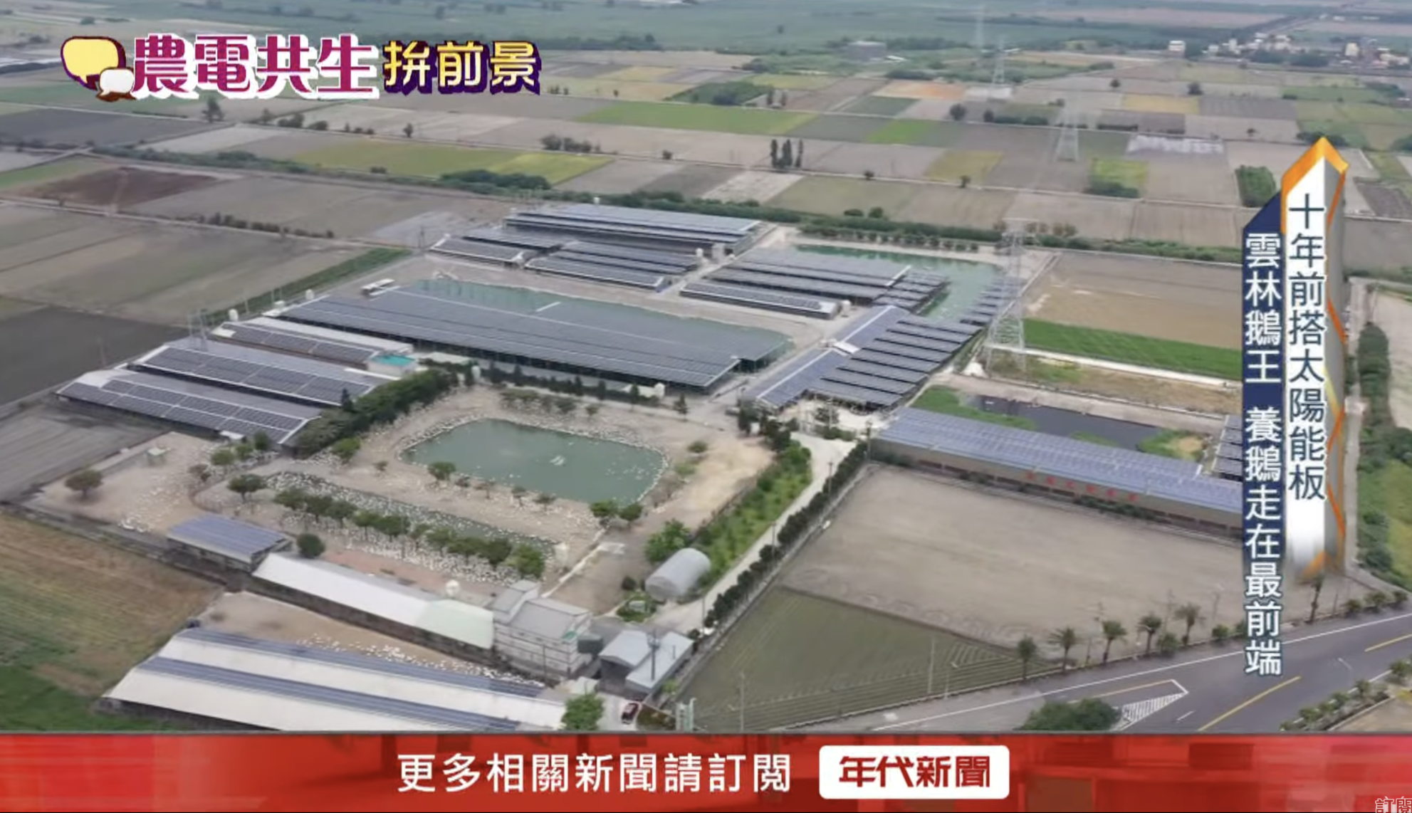 全台最大鵝舍屋頂，靠太陽能板降溫省電
